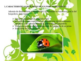 5. CARACTERISTICAS DESEABLES DE UN INSECTO BENEFICO :
Además de desarrollarse normalmente y sincronizar su ocurrencia con la del
hospedero, debe tener:
 Una gran capacidad de multiplicación
 Ser relativamente especifico que permita una rápida respuesta
numérica a los incrementos de la población del hospedero
 Tener una gran movilidad y capacidad de búsqueda de su presa
 Estar libre de hiperparásitos
 