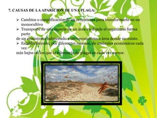 7. CAUSAS DE LAAPARICION DE UNA PLAGA:
 Cambios o simplificación de un ecosistema para transformarlo en un
monocultivo
 Transporte de una especie de un área en donde el organismo forma
parte
de un ecosistema balanceado a otro ecosistema o área donde no existe.
 Establecimiento, por diferentes razones, de umbrales económicos cada
vez
más bajos en los que la tolerancia de plagas es cada vez menor.
 