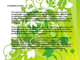 INTRODUCCION…!!!
El control de plagas con productos químicos es cada vez más
complicado. La exigencia por los consumidores en la reducción de
la aplicación de estos productos es cada vez más notable. Los
productos agroquímicos no siempre dan buenos resultados, por lo
que, se presta hoy día, mucha importancia a una agricultura más
biológica.
Para iniciar una lucha biológica, se debe reducir las aplicaciones de
pesticidas durante un tiempo determinado y estando el agricultor
obligado a aceptar la no venta de sus productos hasta alcanzar una
producción controlada biológicamente.
En el control integrado de plagas se trabaja de diferente forma. Se
recomienda dejar de curar contra plagas y actuar de forma
preventiva. El control biológico es el empleo de otros insectos
depredadores para combatir las plagas, de forma que, así se evita o
reduce el empleo de plaguicidas que dejan residuos tóxicos en los
frutos y plantas y son puros venenos para la salud humana.
 