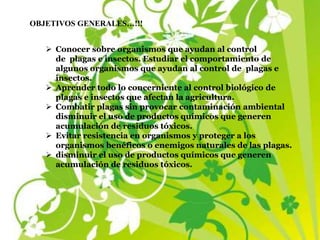 OBJETIVOS GENERALES…!!!
 Conocer sobre organismos que ayudan al control
de plagas e insectos. Estudiar el comportamiento de
algunos organismos que ayudan al control de plagas e
insectos.
 Aprender todo lo concerniente al control biológico de
plagas e insectos que afectan la agricultura.
 Combatir plagas sin provocar contaminación ambiental
disminuir el uso de productos químicos que generen
acumulación de residuos tóxicos.
 Evitar resistencia en organismos y proteger a los
organismos benéficos o enemigos naturales de las plagas.
 disminuir el uso de productos químicos que generen
acumulación de residuos tóxicos.
 