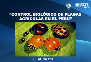 • TACNA 2015
“CONTROL BIOLÓGICO DE PLAGAS
AGRÍCOLAS EN EL PERÚ”
 