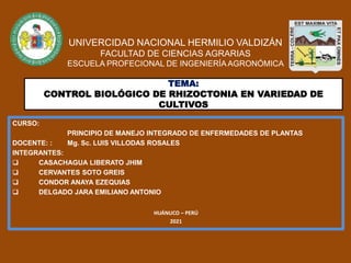 UNIVERCIDAD NACIONAL HERMILIO VALDIZÁN
FACULTAD DE CIENCIAS AGRARIAS
ESCUELA PROFECIONAL DE INGENIERÍA AGRONÓMICA
CURSO:
PRINCIPIO DE MANEJO INTEGRADO DE ENFERMEDADES DE PLANTAS
DOCENTE: : Mg. Sc. LUIS VILLODAS ROSALES
INTEGRANTES:
 CASACHAGUA LIBERATO JHIM
 CERVANTES SOTO GREIS
 CONDOR ANAYA EZEQUIAS
 DELGADO JARA EMILIANO ANTONIO
HUÁNUCO – PERÚ
2021
TEMA:
CONTROL BIOLÓGICO DE RHIZOCTONIA EN VARIEDAD DE
CULTIVOS
 