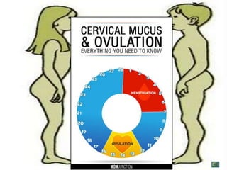 Control birth
