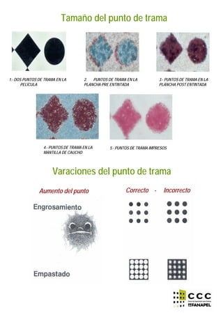 Tamaño del punto de trama
1.- DOS PUNTOS DE TRAMA EN LA
PELÍCULA
2. PUNTOS DE TRAMA EN LA
PLANCHA PRE ENTINTADA
3.- PUNTOS DE TRAMA EN LA
PLANCHA POST ENTINTADA
4.- PUNTOS DE TRAMA EN LA
MANTILLA DE CAUCHO
5.- PUNTOS DE TRAMA IMPRESOS
Varaciones del punto de trama
Aumento del punto Correcto - Incorrecto
 