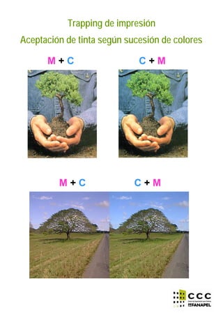 Trapping de impresión
Aceptación de tinta según sucesión de colores
M + C C + M
M + C C + M
 