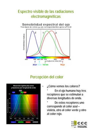 Espectro visible de las radiaciones
electromagnéticas
• ¿Cómo vemos los colores?
* En el ojo humano hay tres
receptores que se estimulan a
diversas longitudes de onda.
* De estos receptores uno
corresponde al color azul –
violeta, otro al color verde y otro
al color rojo.
Percepción del color
 