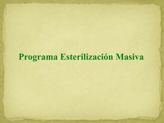 Programa Esterilización Masiva
 