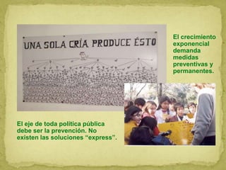 El eje de toda política pública
debe ser la prevención. No
existen las soluciones “express”.
El crecimiento
exponencial
demanda
medidas
preventivas y
permanentes.
 