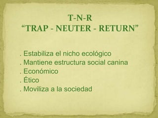 T-N-R
“TRAP - NEUTER - RETURN”
. Estabiliza el nicho ecológico
. Mantiene estructura social canina
. Económico
. Ético
. Moviliza a la sociedad
 