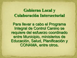 Gobierno Local y
Colaboración Intersectorial
Para llevar a cabo el Programa
Integral de Control Canino se
requiere del esfuerzo coordinado
entre Municipio, ministerios de
Educación, Salud, Planificación y
CONAMA, entre otros.
 