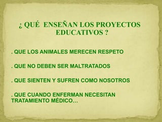 ¿ QUÉ ENSEÑAN LOS PROYECTOS
EDUCATIVOS ?
. QUE LOS ANIMALES MERECEN RESPETO
. QUE NO DEBEN SER MALTRATADOS
. QUE SIENTEN Y SUFREN COMO NOSOTROS
. QUE CUANDO ENFERMAN NECESITAN
TRATAMIENTO MÉDICO…
 