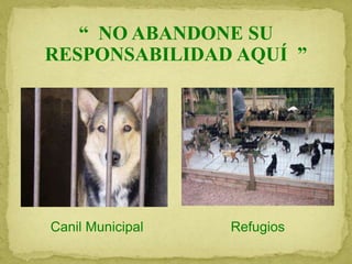 Canil Municipal Refugios
“ NO ABANDONE SU
RESPONSABILIDAD AQUÍ ”
 