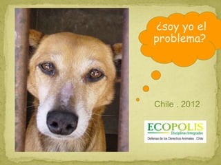 Chile . 2012
¿soy yo el
problema?
 