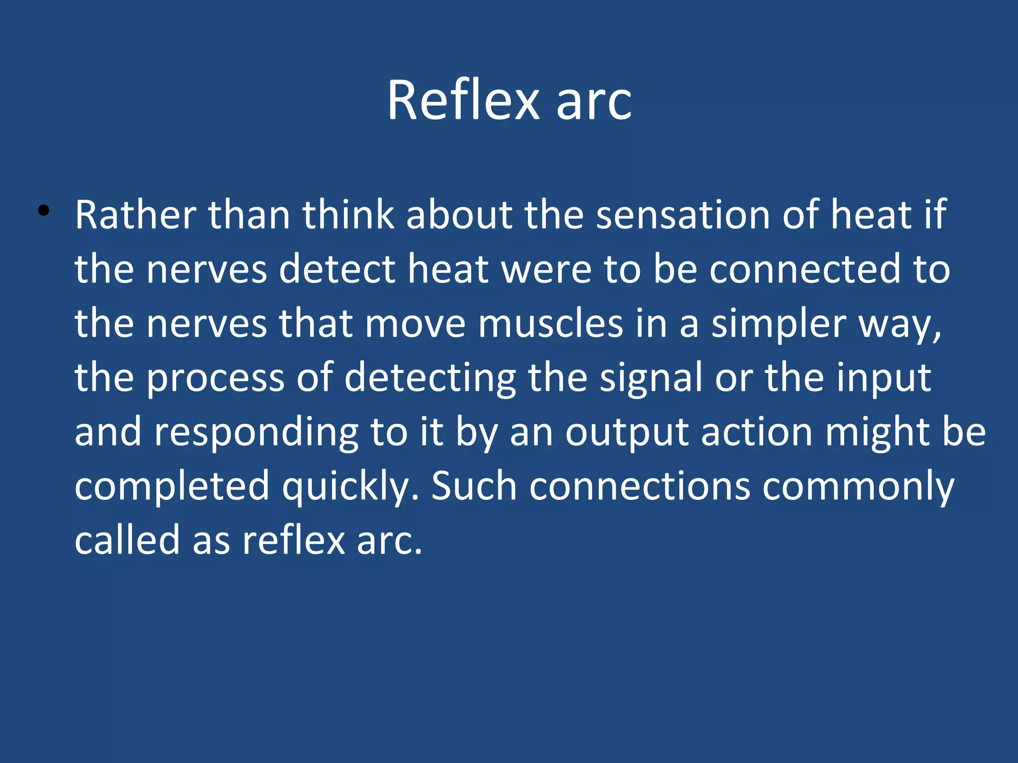Reflex arc
• Rather than think about the sensation of heat if
the nerves detect heat were to be connected to
the nerves that move muscles in a simpler way,
the process of detecting the signal or the input
and responding to it by an output action might be
completed quickly. Such connections commonly
called as reflex arc.
 