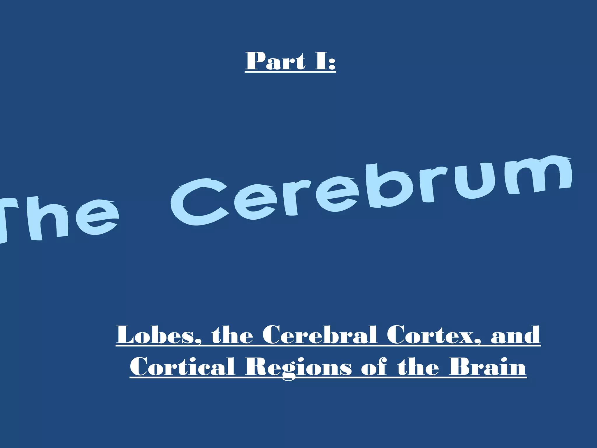 The Cerebrum
Part I:
Lobes, the Cerebral Cortex, and
Cortical Regions of the Brain
 