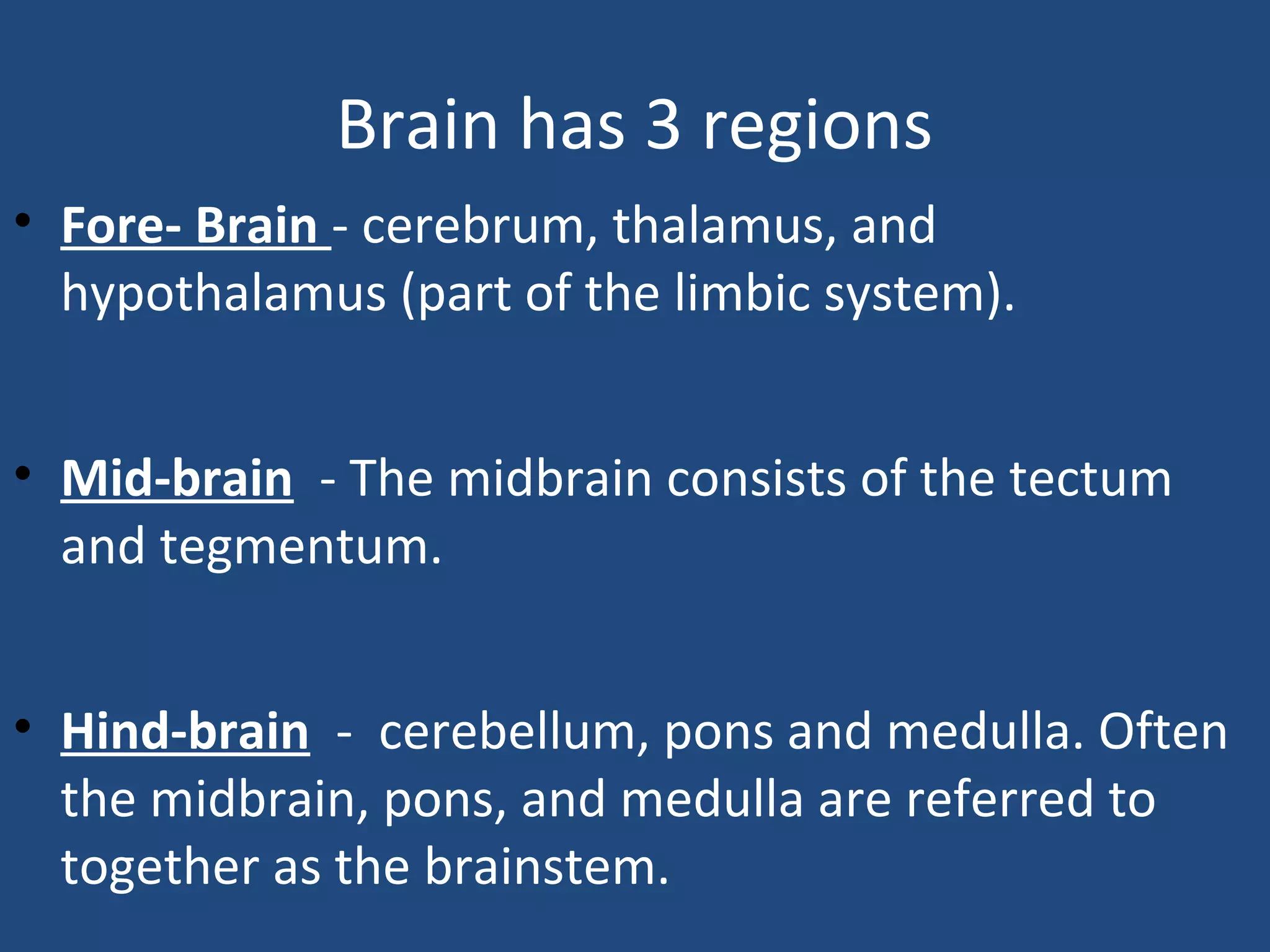 Brain has 3 regions
• Fore- Brain - cerebrum, thalamus, and
hypothalamus (part of the limbic system).
• Mid-brain - The midbrain consists of the tectum
and tegmentum.
• Hind-brain - cerebellum, pons and medulla. Often
the midbrain, pons, and medulla are referred to
together as the brainstem.
 