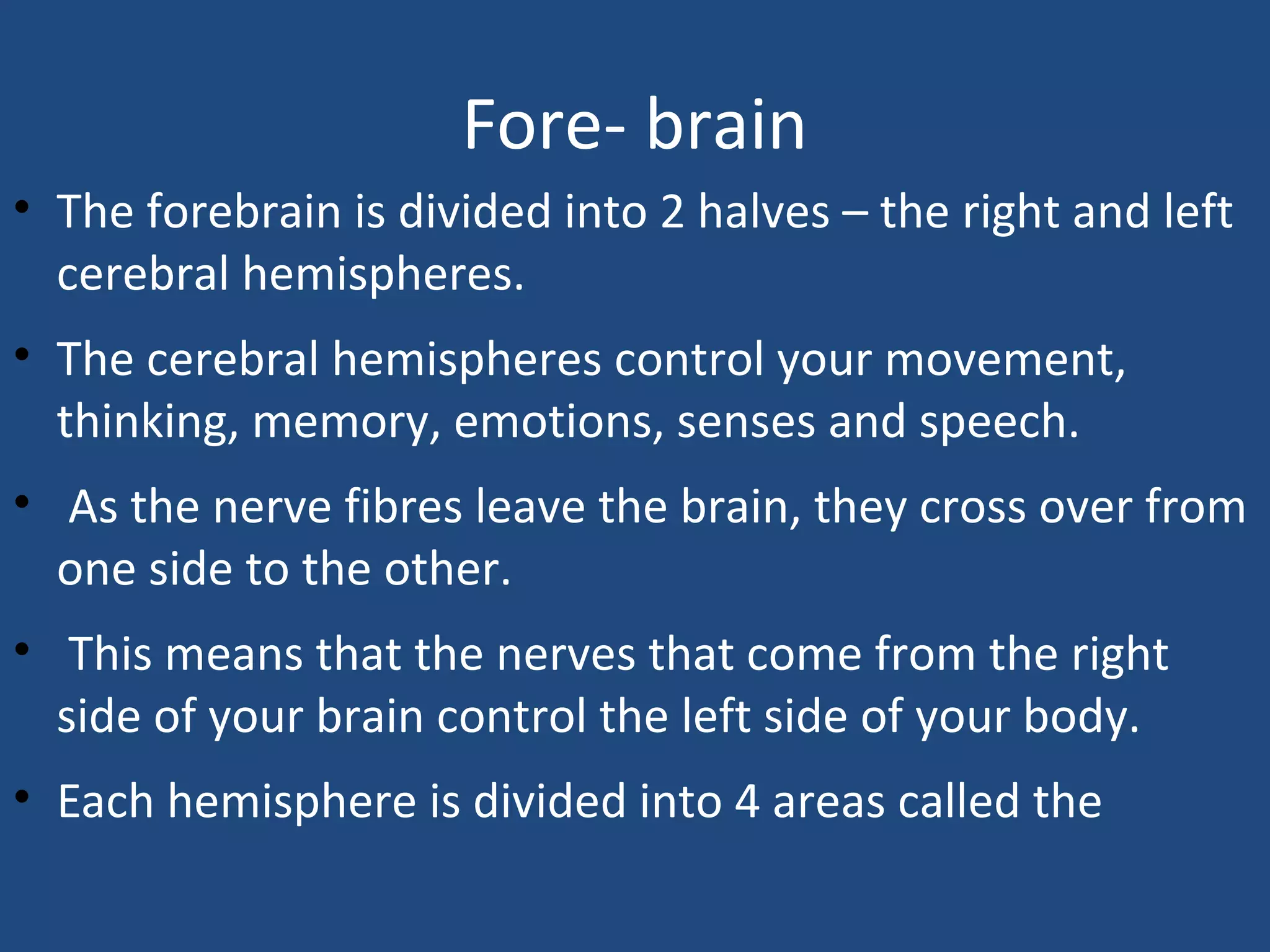 Fore- brain
• The forebrain is divided into 2 halves – the right and left
cerebral hemispheres.
• The cerebral hemispheres control your movement,
thinking, memory, emotions, senses and speech.
• As the nerve fibres leave the brain, they cross over from
one side to the other.
• This means that the nerves that come from the right
side of your brain control the left side of your body.
• Each hemisphere is divided into 4 areas called the
 