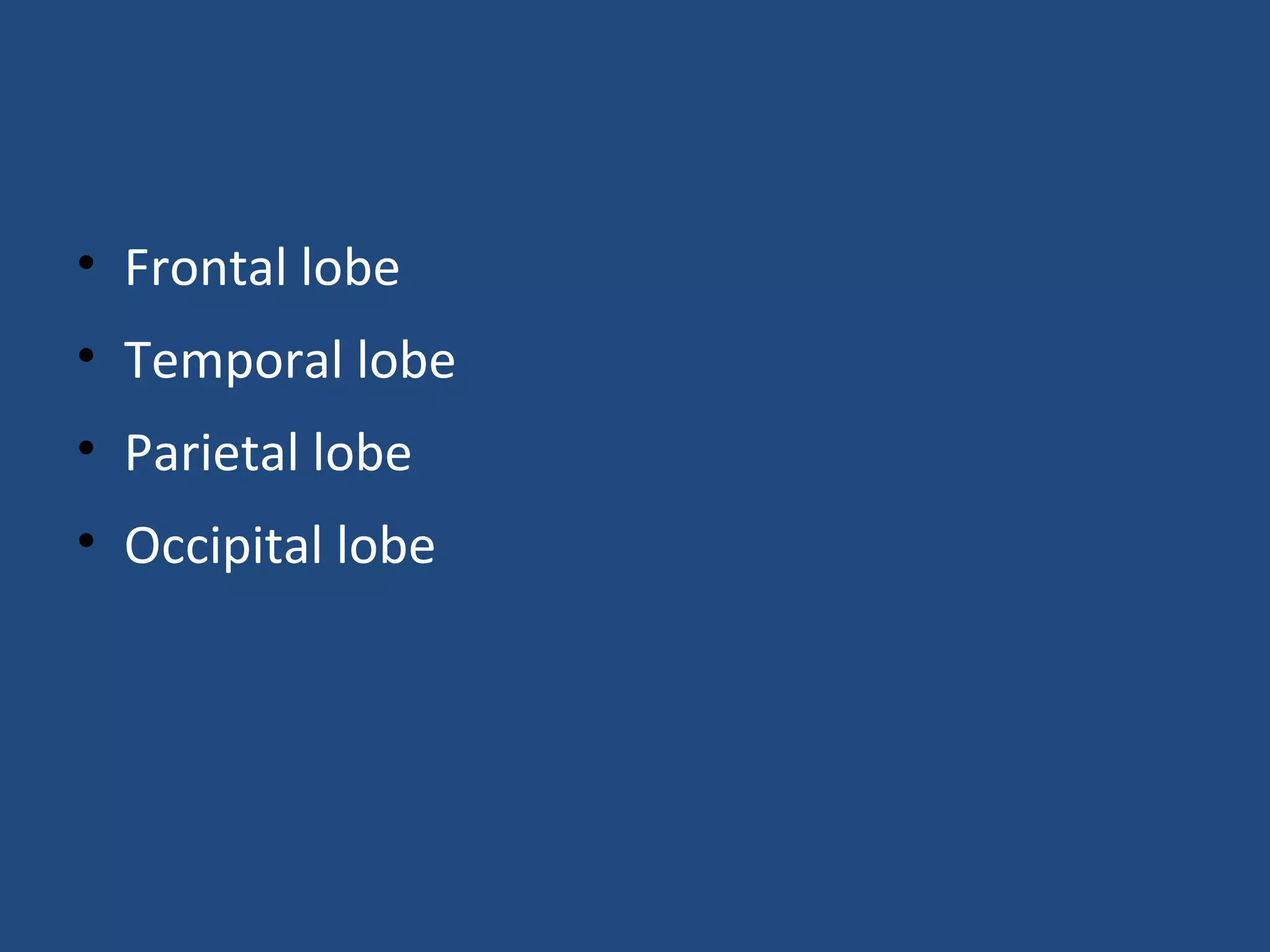 • Frontal lobe
• Temporal lobe
• Parietal lobe
• Occipital lobe
 