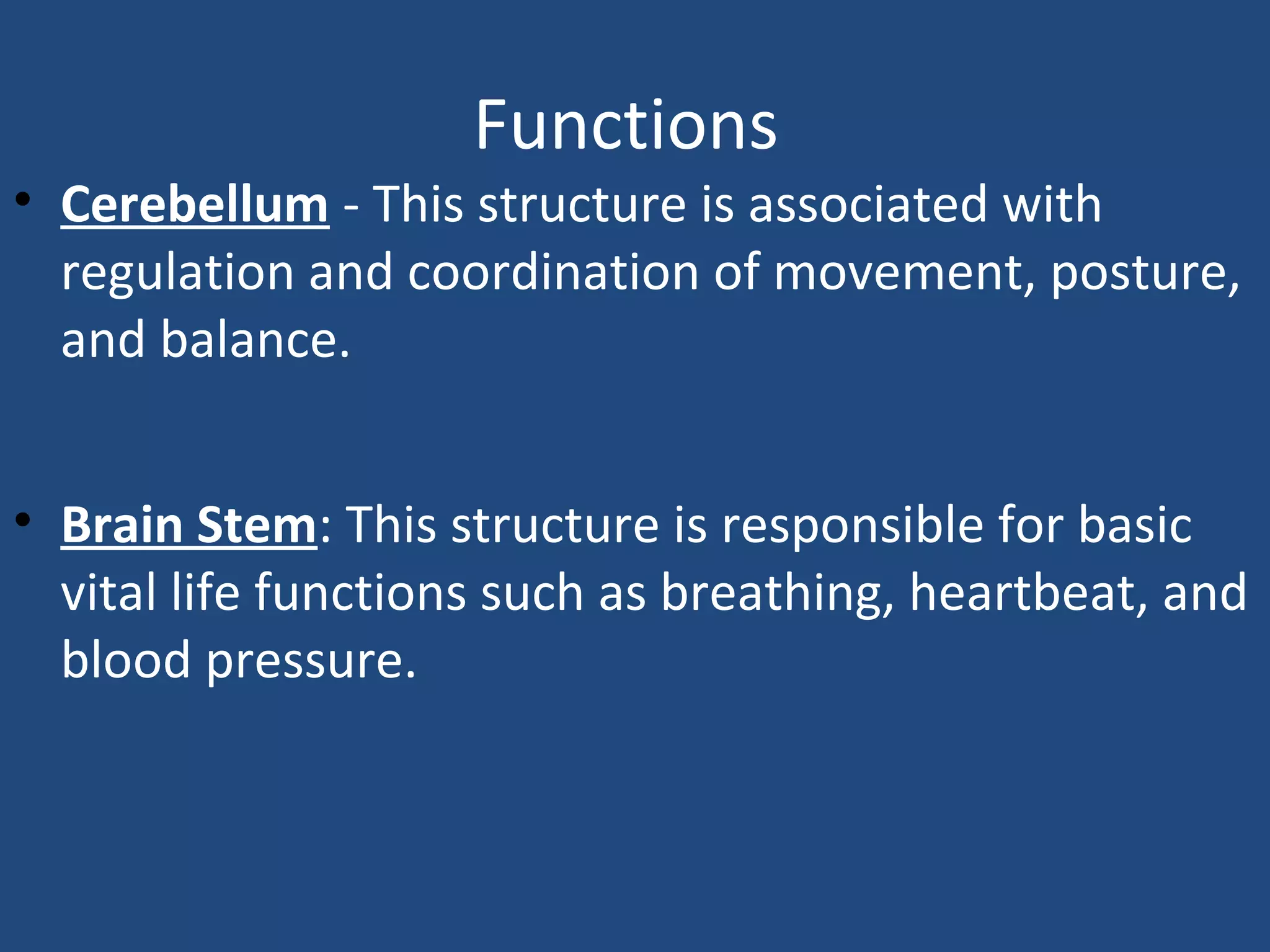Functions
• Cerebellum - This structure is associated with
regulation and coordination of movement, posture,
and balance.
• Brain Stem: This structure is responsible for basic
vital life functions such as breathing, heartbeat, and
blood pressure.
 