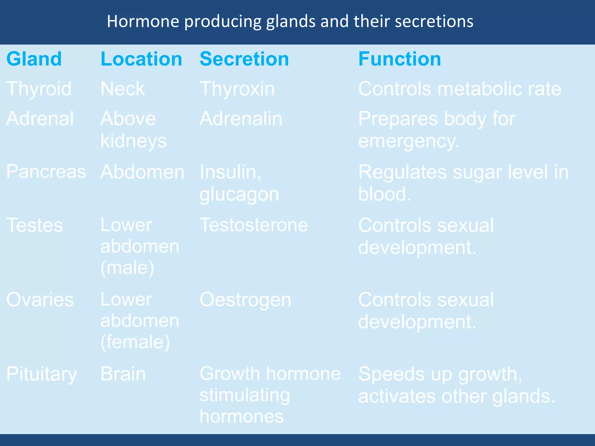 Hormone producing glands and their secretions
Gland Location Secretion Function
Thyroid Neck Thyroxin Controls metabolic rate
Adrenal Above
kidneys
Adrenalin Prepares body for
emergency.
Pancreas Abdomen Insulin,
glucagon
Regulates sugar level in
blood.
Testes Lower
abdomen
(male)
Testosterone Controls sexual
development.
Ovaries Lower
abdomen
(female)
Oestrogen Controls sexual
development.
Pituitary Brain Growth hormone
stimulating
hormones
Speeds up growth,
activates other glands.
 
