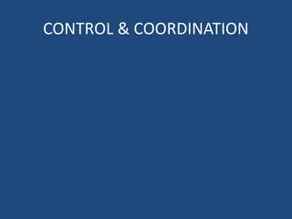 CONTROL & COORDINATION
 