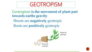 Control & coordination IV | PPT