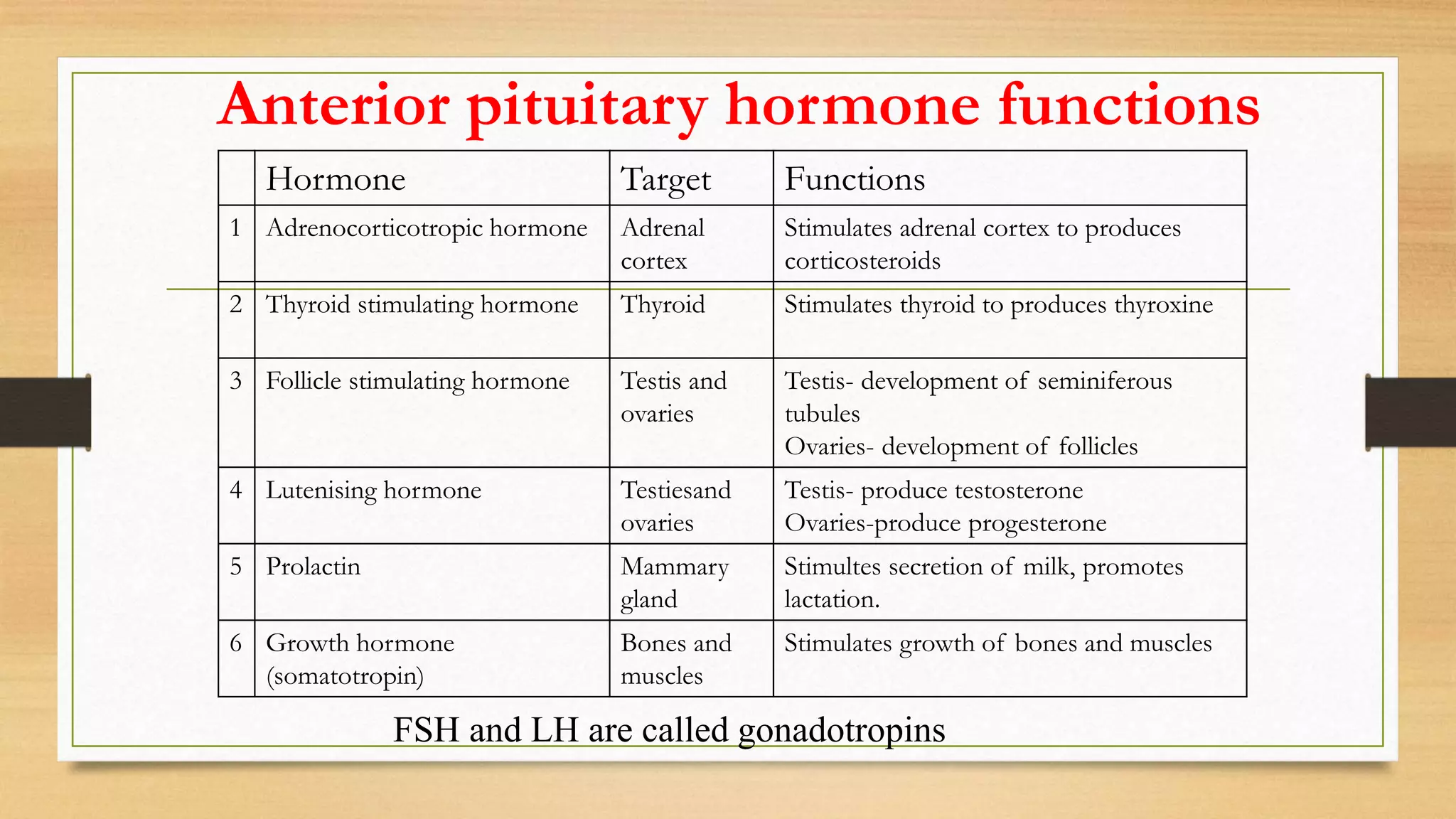 Anterior pituitary hormone functions
Hormone Target Functions
1 Adrenocorticotropic hormone Adrenal
cortex
Stimulates adrenal cortex to produces
corticosteroids
2 Thyroid stimulating hormone Thyroid Stimulates thyroid to produces thyroxine
3 Follicle stimulating hormone Testis and
ovaries
Testis- development of seminiferous
tubules
Ovaries- development of follicles
4 Lutenising hormone Testiesand
ovaries
Testis- produce testosterone
Ovaries-produce progesterone
5 Prolactin Mammary
gland
Stimultes secretion of milk, promotes
lactation.
6 Growth hormone
(somatotropin)
Bones and
muscles
Stimulates growth of bones and muscles
FSH and LH are called gonadotropins
 