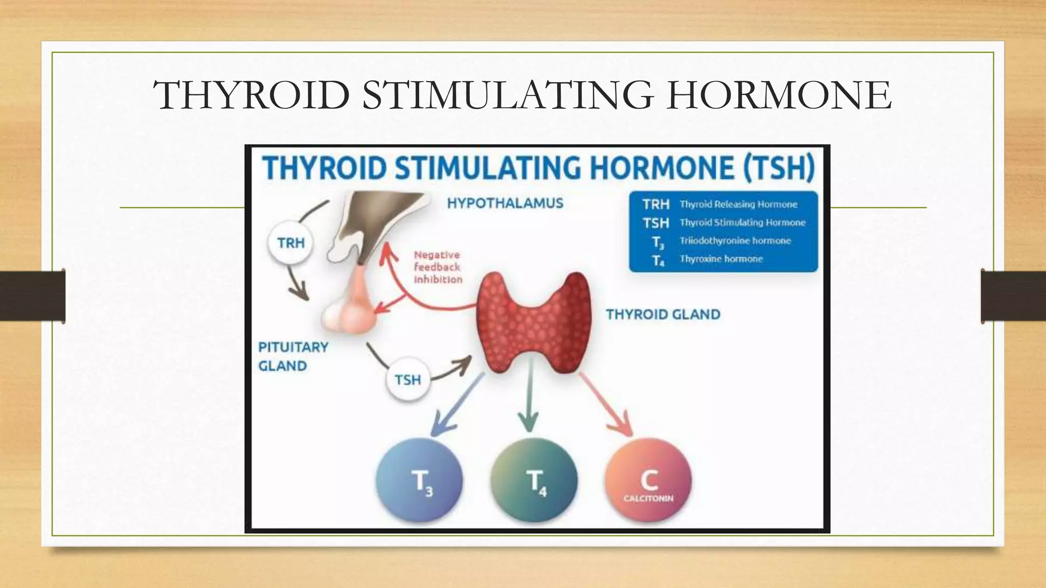THYROID STIMULATING HORMONE
 