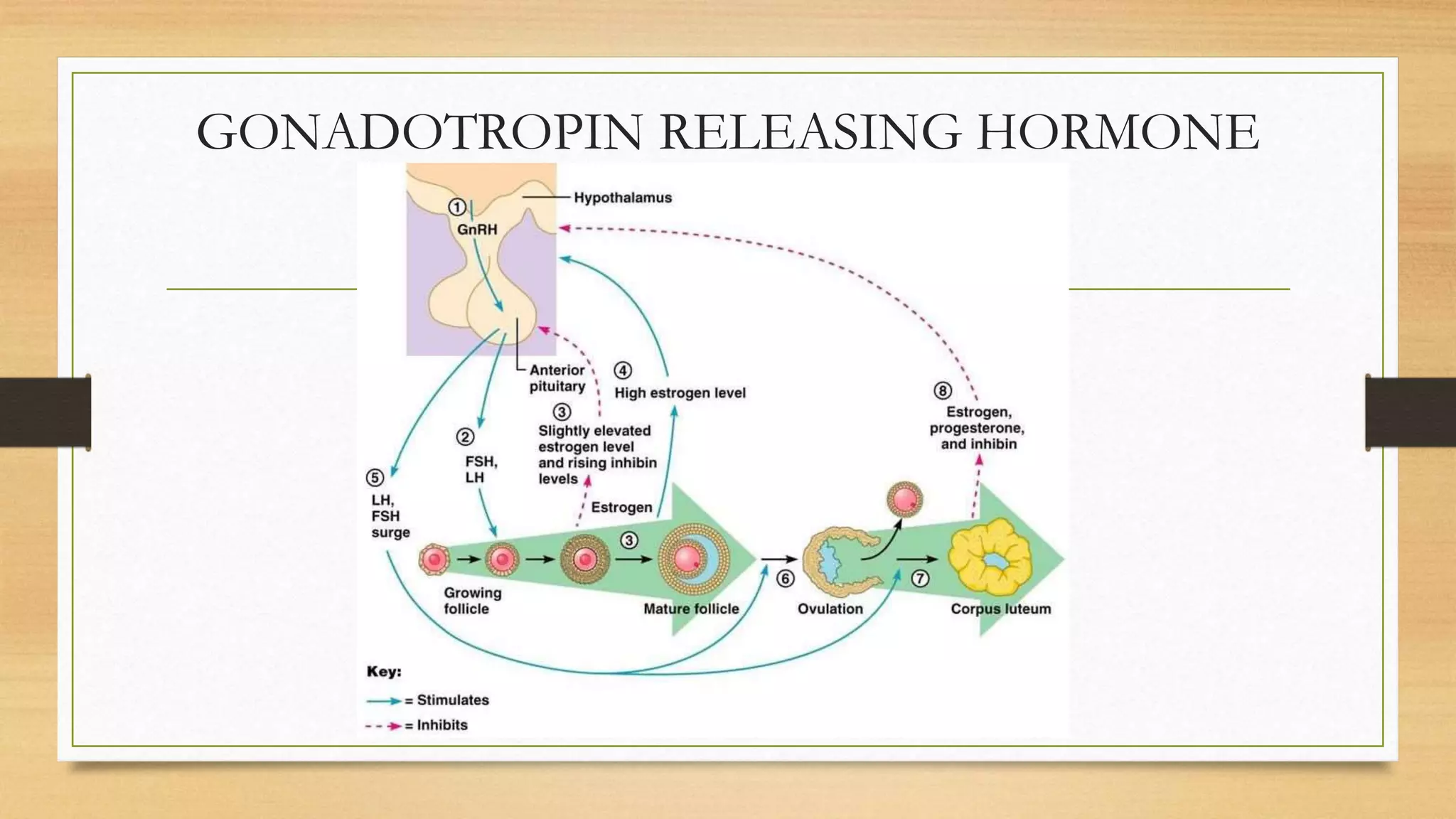 GONADOTROPIN RELEASING HORMONE
 