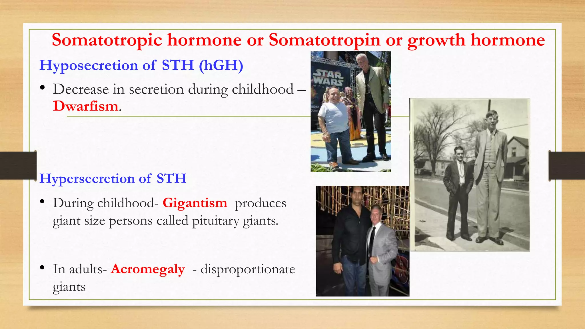 Somatotropic hormone or Somatotropin or growth hormone
Hyposecretion of STH (hGH)
• Decrease in secretion during childhood –
Dwarfism.
Hypersecretion of STH
• During childhood- Gigantism produces
giant size persons called pituitary giants.
• In adults- Acromegaly - disproportionate
giants
 