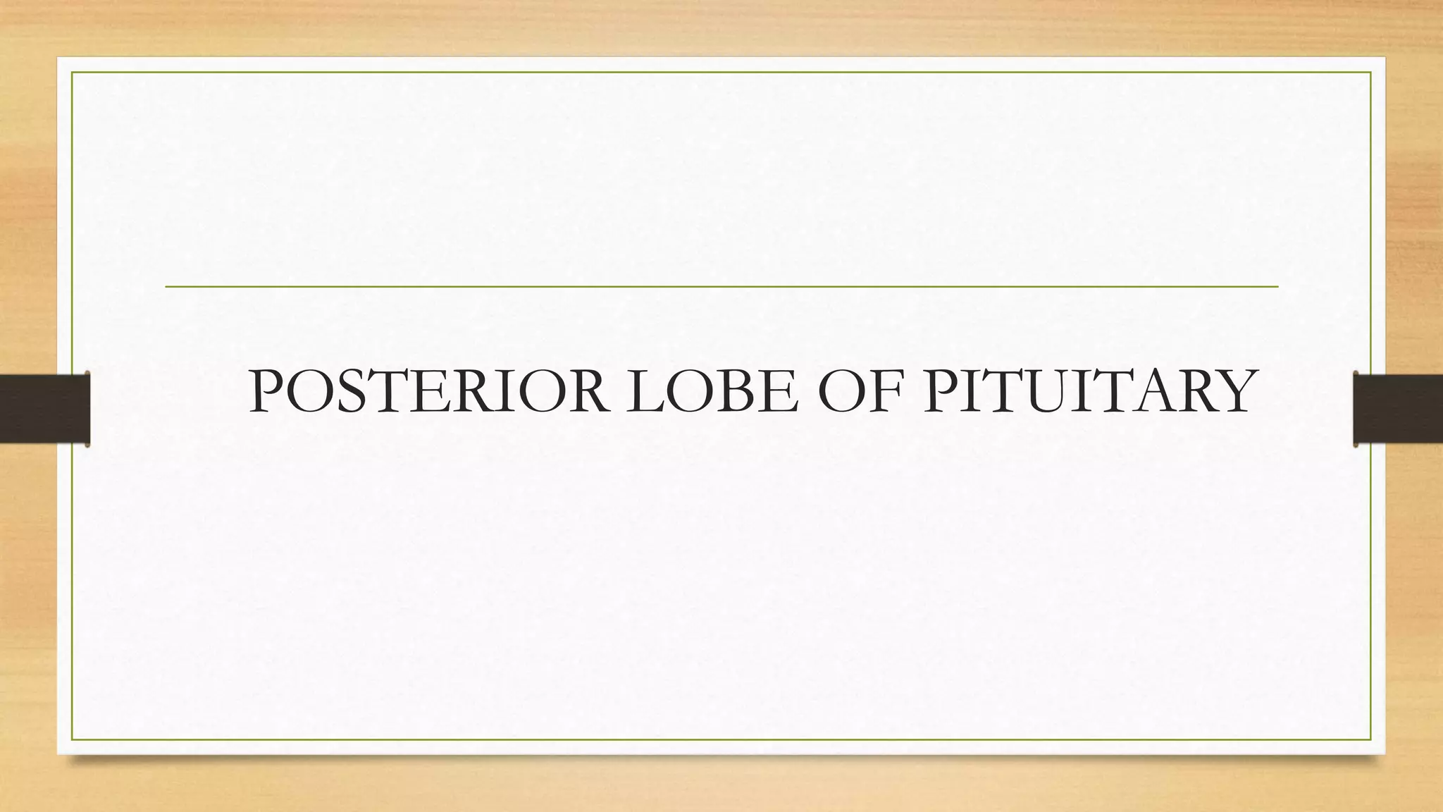 POSTERIOR LOBE OF PITUITARY
 