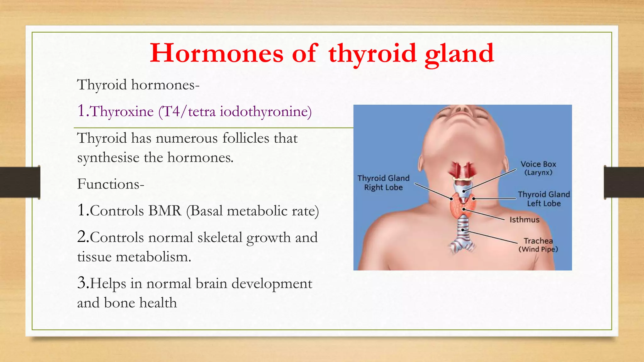 Hormones of thyroid gland
Thyroid hormones-
1.Thyroxine (T4/tetra iodothyronine)
Thyroid has numerous follicles that
synthesise the hormones.
Functions-
1.Controls BMR (Basal metabolic rate)
2.Controls normal skeletal growth and
tissue metabolism.
3.Helps in normal brain development
and bone health
 