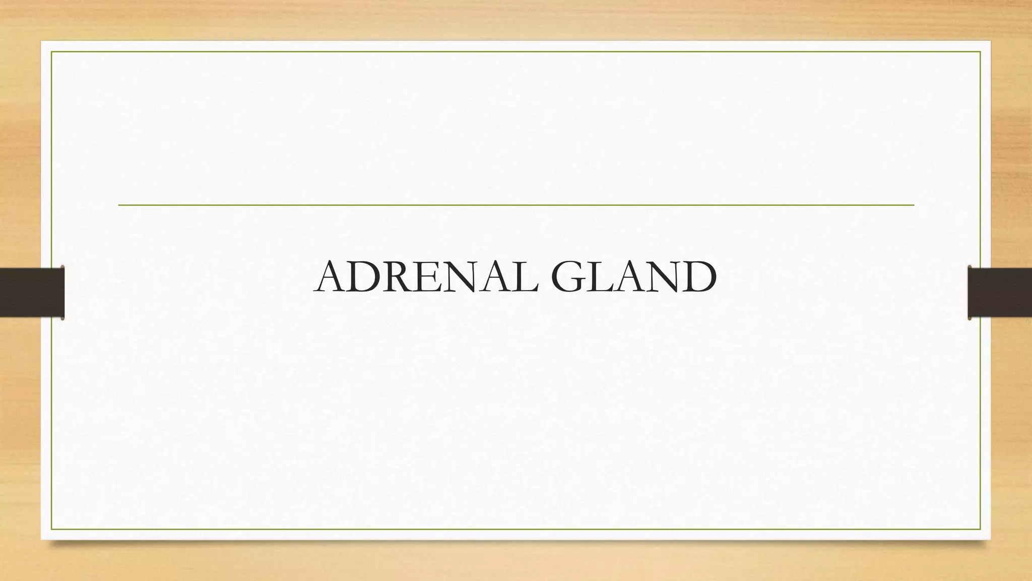 ADRENAL GLAND
 