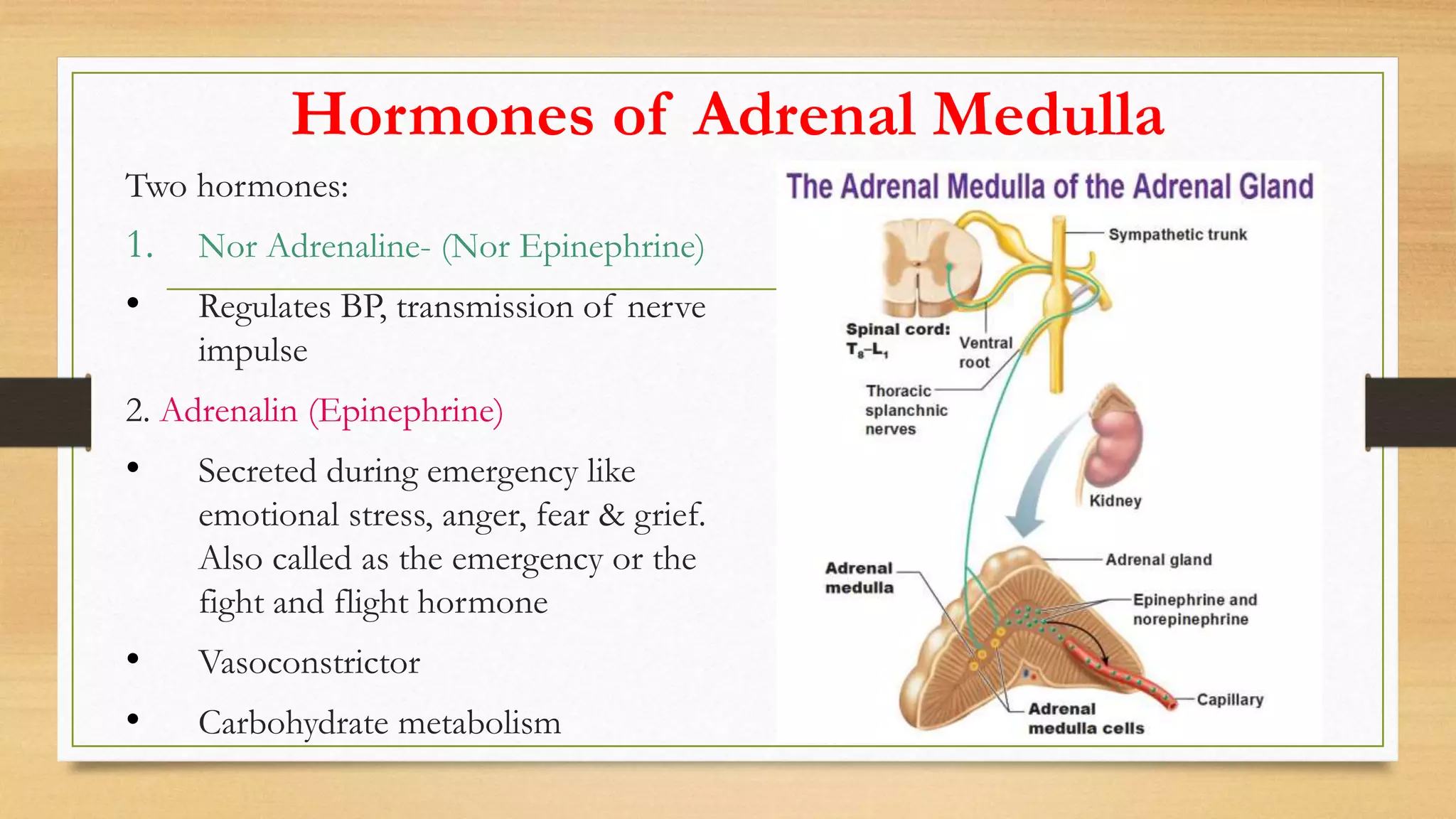 Hormones of Adrenal Medulla
Two hormones:
1. Nor Adrenaline- (Nor Epinephrine)
• Regulates BP, transmission of nerve
impulse
2. Adrenalin (Epinephrine)
• Secreted during emergency like
emotional stress, anger, fear & grief.
Also called as the emergency or the
fight and flight hormone
• Vasoconstrictor
• Carbohydrate metabolism
 