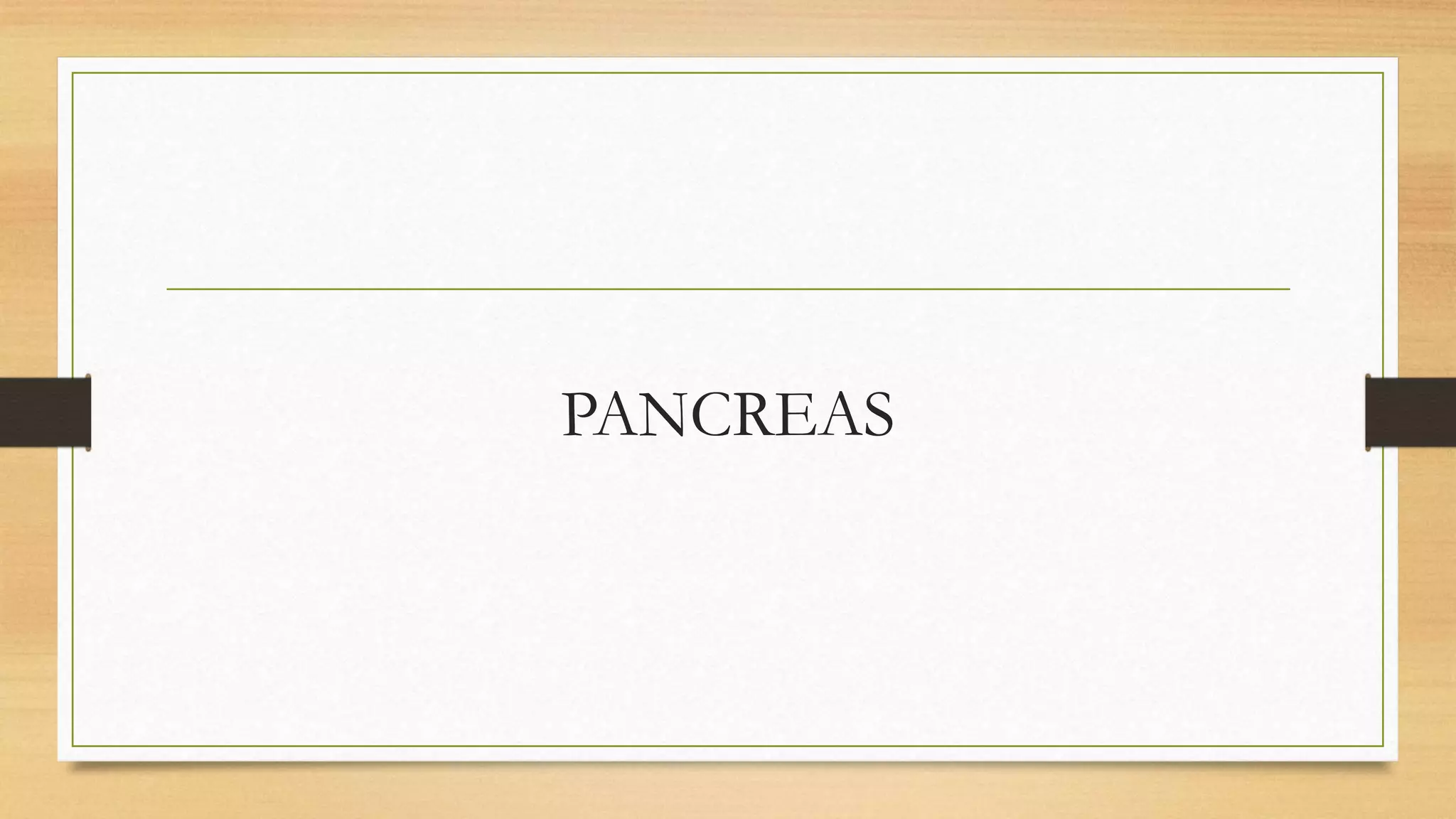 PANCREAS
 