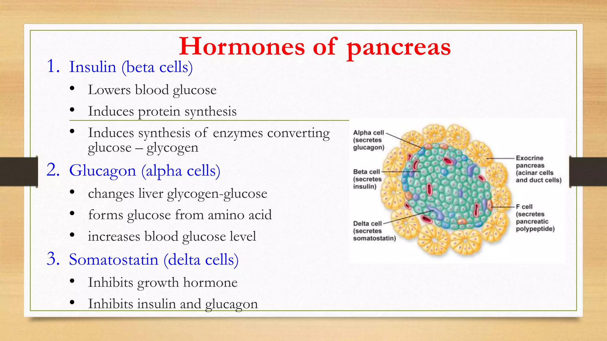 Hormones of pancreas
1. Insulin (beta cells)
• Lowers blood glucose
• Induces protein synthesis
• Induces synthesis of enzymes converting
glucose – glycogen
2. Glucagon (alpha cells)
• changes liver glycogen-glucose
• forms glucose from amino acid
• increases blood glucose level
3. Somatostatin (delta cells)
• Inhibits growth hormone
• Inhibits insulin and glucagon
 