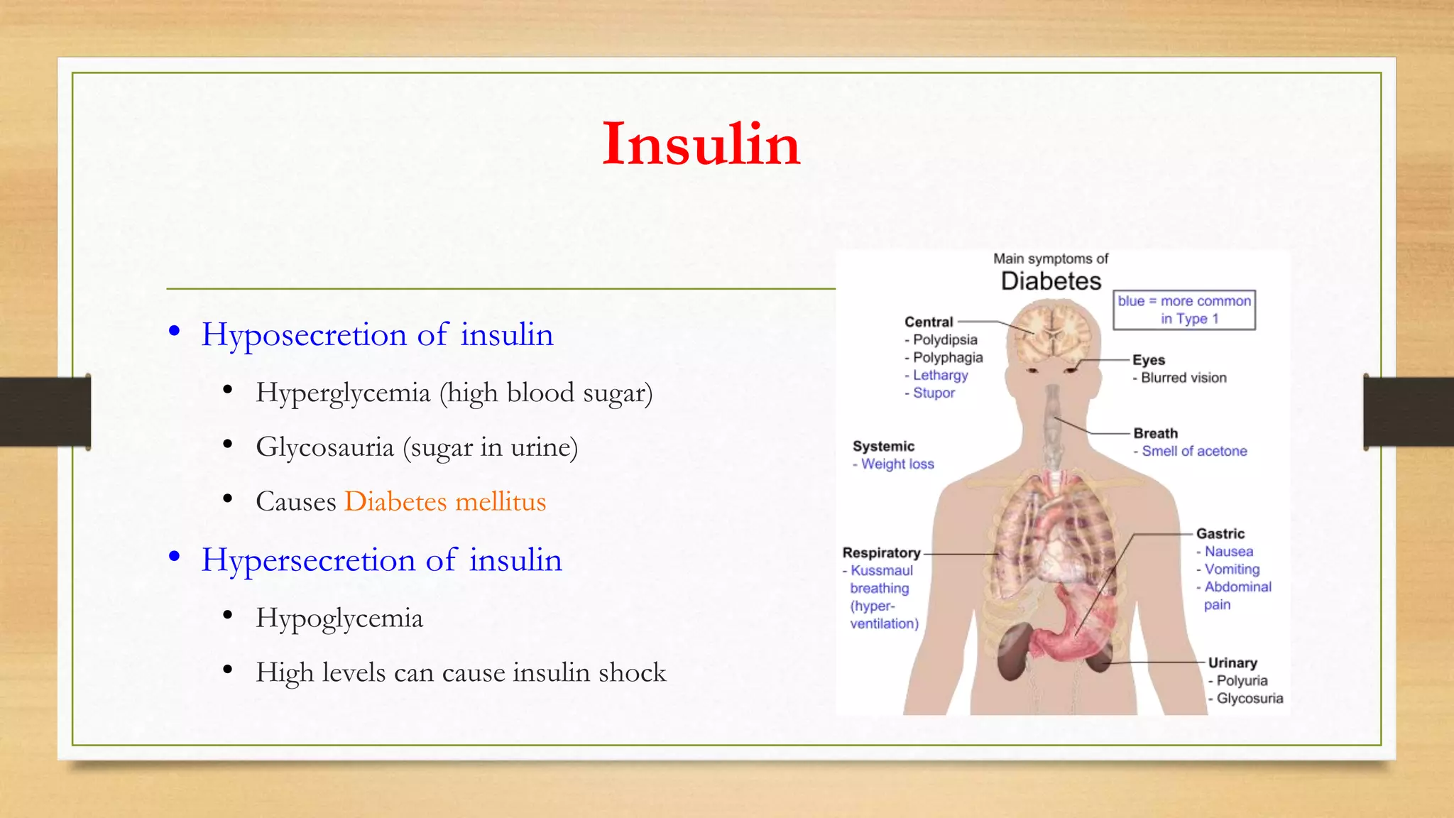 Insulin
• Hyposecretion of insulin
• Hyperglycemia (high blood sugar)
• Glycosauria (sugar in urine)
• Causes Diabetes mellitus
• Hypersecretion of insulin
• Hypoglycemia
• High levels can cause insulin shock
 