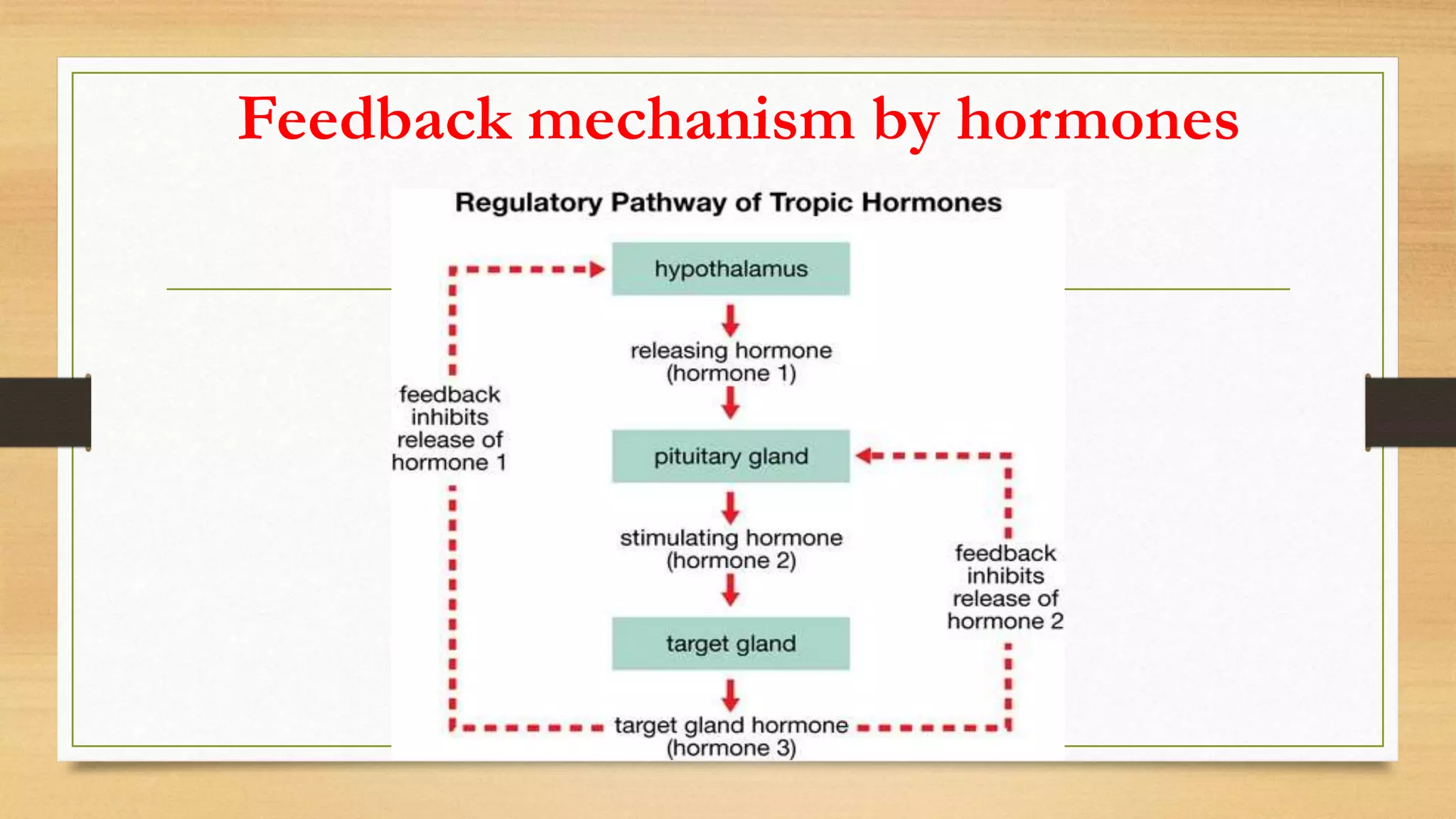 Feedback mechanism by hormones
 