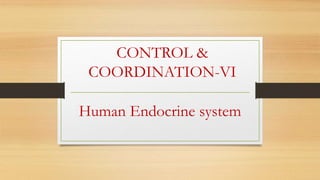 Human Endocrine system
CONTROL &
COORDINATION-VI
 
