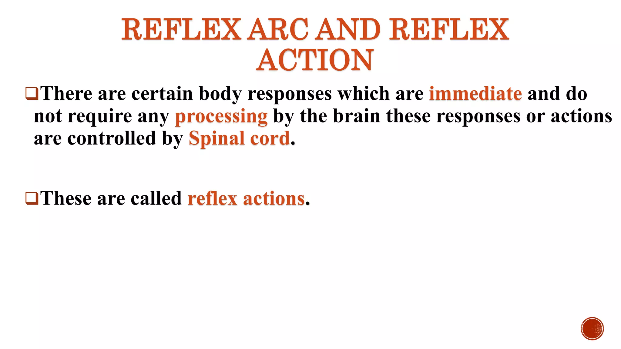 REFLEX ARC AND REFLEX
ACTION
There are certain body responses which are immediate and do
not require any processing by the brain these responses or actions
are controlled by Spinal cord.
These are called reflex actions.
 