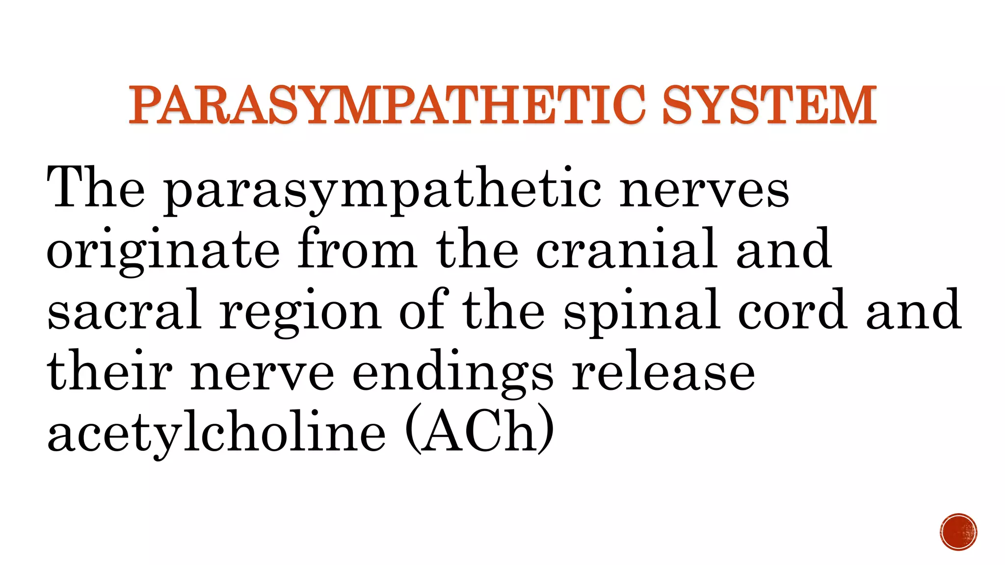 PARASYMPATHETIC SYSTEM
The parasympathetic nerves
originate from the cranial and
sacral region of the spinal cord and
their nerve endings release
acetylcholine (ACh)
 