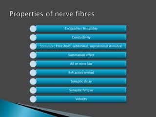 Excitability/ Irritability
Conductivity
Stimulus ( Threshold, subliminal, supraliminal stimulus)
Summation effect
All or none law
Refractory period
Synaptic delay
Synaptic fatigue
Velocity
 