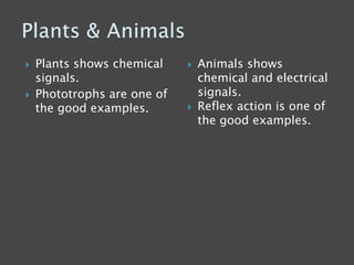 Plants shows chemical
signals.
 Phototrophs are one of
the good examples.
 Animals shows
chemical and electrical
signals.
 Reflex action is one of
the good examples.
 