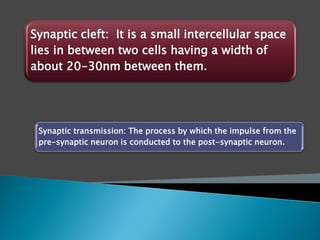 Synaptic cleft: It is a small intercellular space
lies in between two cells having a width of
about 20-30nm between them.
Synaptic transmission: The process by which the impulse from the
pre-synaptic neuron is conducted to the post-synaptic neuron.
 