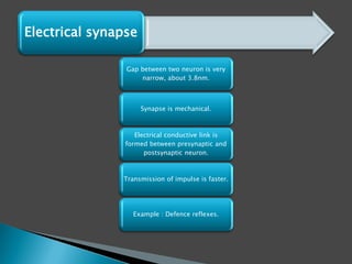Gap between two neuron is very
narrow, about 3.8nm.
Synapse is mechanical.
Electrical conductive link is
formed between presynaptic and
postsynaptic neuron.
Transmission of impulse is faster.
Example : Defence reflexes.
Electrical synapse
 