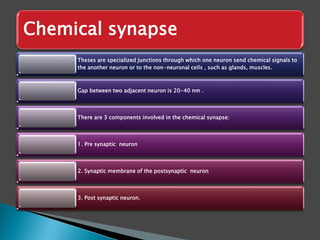 Theses are specialized junctions through which one neuron send chemical signals to
the another neuron or to the non-neuronal cells , such as glands, muscles.
Gap between two adjacent neuron is 20-40 nm .
There are 3 components involved in the chemical synapse:
1. Pre synaptic neuron
2. Synaptic membrane of the postsynaptic neuron
3. Post synaptic neuron.
Chemical synapse
 