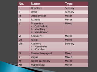 No. Name Type
I Olfactory Sensory
II Optic sensory
III Occulomotor Motor
IV Pathetic Motor
V Trigeminal
a. Ophthalmic
b. Maxillary
c. Mandibular
Mixed
VI Abducens Motor
VII Facial Mixed
VIII Auditory
i. Vestibular
ii. Cochlear
Sensory
IX Glossopharyngeal Mixed
X Vagus Mixed
XI Spinal accessory Motor
XII Hypoglossal Motor
 