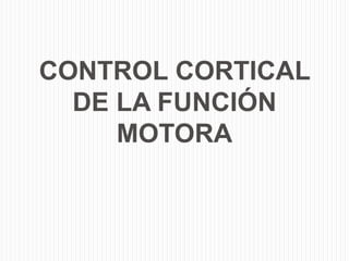 CONTROL CORTICAL
  DE LA FUNCIÓN
     MOTORA
 