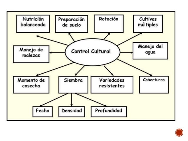 Resultado de imagen para CONTROL CULTURAL