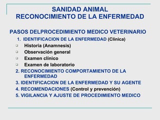SANIDAD ANIMAL RECONOCIMIENTO DE LA ENFERMEDAD PASOS DELPROCEDIMIENTO MEDICO VETERINARIO 1.  IDENTIFICACION DE LA ENFERMEDAD  (Clínica) Historia (Anamnesis) Observación general Examen clínico Examen de laboratorio 2. RECONOCIMIENTO COMPORTAMIENTO DE LA ENFERMEDAD 3. IDENTIFICACION DE LA ENFERMEDAD Y SU AGENTE 4. RECOMENDACIONES  (Control y prevención) 5. VIGILANCIA Y AJUSTE DE PROCEDIMIENTO MEDICO 